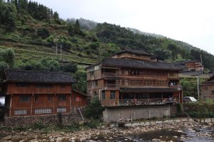 広西壮族自治区・龍脊棚田の写真　山を彩る金色の絨毯2-7