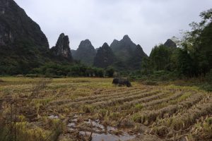 広西壮族自治区・百里水墨画廊／黄姚古鎮の写真　野焼きの煙たなびく桃源郷と嶺南建築古鎮-6