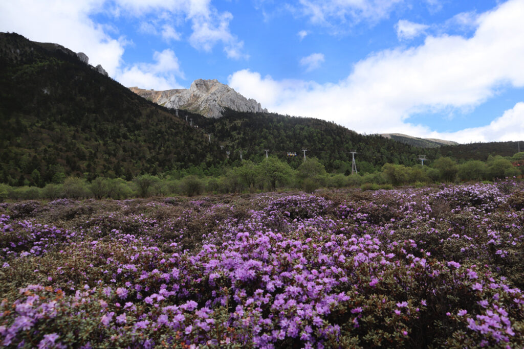 雲南省・香格里拉（シャングリラ）石卡雪山の写真　茶馬古道に聳える聖なる雪山2-4
