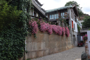 雲南省・麗江三古鎮の写真　納西（ナシ）族の故郷を歩く-11