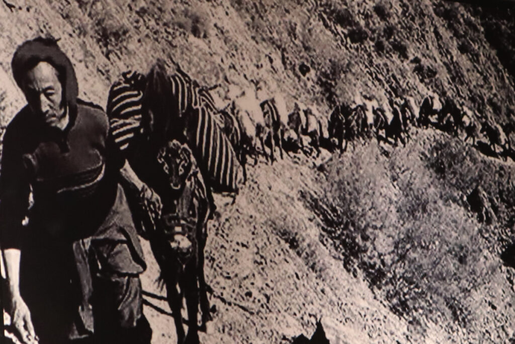 雲南省・麗江三古鎮の写真　納西（ナシ）族の故郷を歩く-3