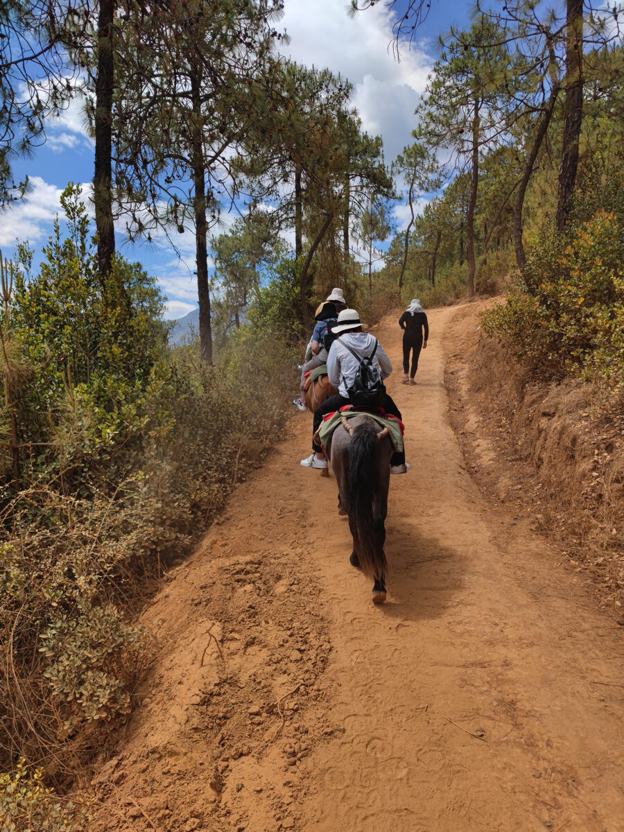 雲南省・麗江三古鎮の写真　納西（ナシ）族の故郷を歩く-4