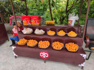 四川省・黄龍溝の写真　仙境の翡翠池-10