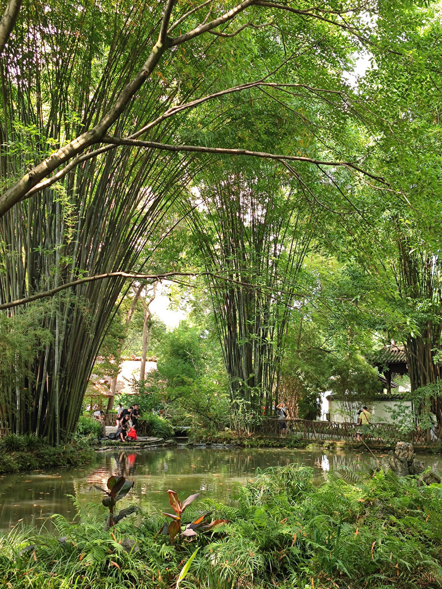 四川省・黄龍溝の写真　仙境の翡翠池-5