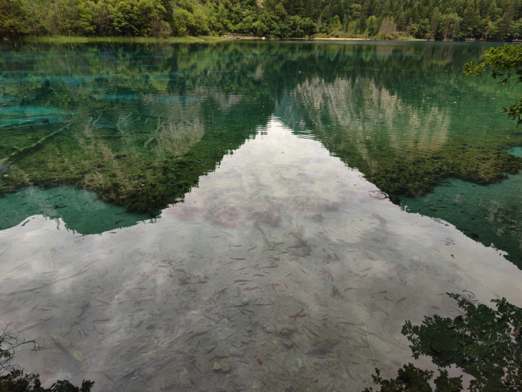 四川省・九寨溝の写真 チベットの愛に育まれた世界自然遺産-3