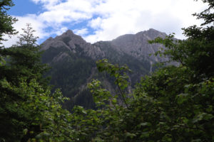 四川省・九寨溝の写真　チベットの愛に育まれた世界自然遺産2-11