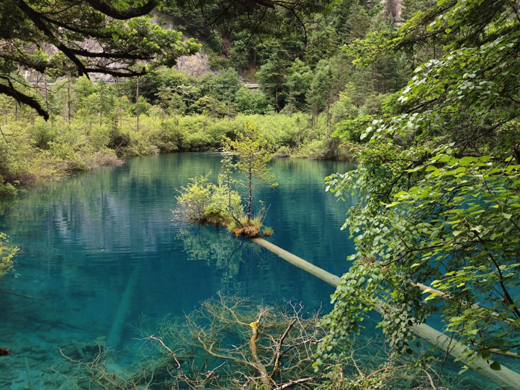 四川省・九寨溝の写真　チベットの愛に育まれた世界自然遺産2-4