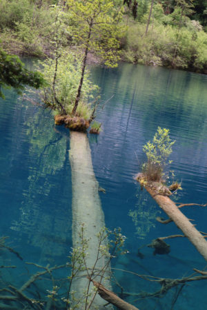 四川省・九寨溝の写真　チベットの愛に育まれた世界自然遺産2-8