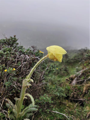 甘粛省・扎ガ那(ツァガナ)の写真 神仙が住む天上のツァガナ6-7