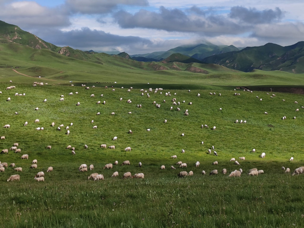 甘粛省・国道345号と黄河の写真　母なる黄河を渡り国道345号を行く-1