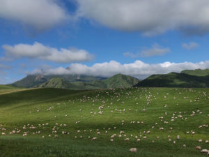 甘粛省・国道345号と黄河の写真　母なる黄河を渡り国道345号を行く-8