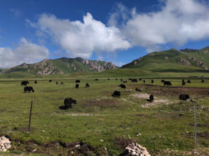 甘粛省・国道345号と黄河の写真 母なる黄河を渡り国道345号を行く2-6