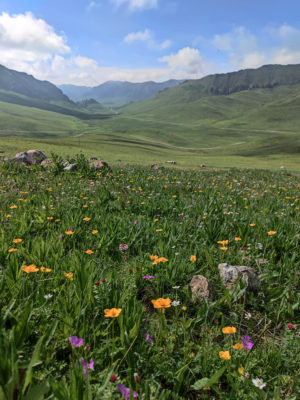 甘粛省・国道345号と黄河の写真 母なる黄河を渡り国道345号を行く2-7