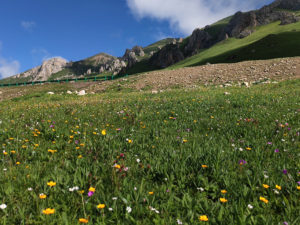 甘粛省・国道345号と黄河の写真 母なる黄河を渡り国道345号を行く2-8