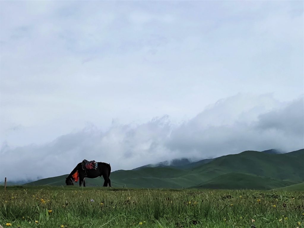 四川省・華棚溝・羊茸哈徳と達古氷河・都江堰の写真 西藏高原最東端を行く-4