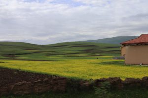 四川省・華棚溝・羊茸哈徳と達古氷河・都江堰の写真 西藏高原最東端を行く-6