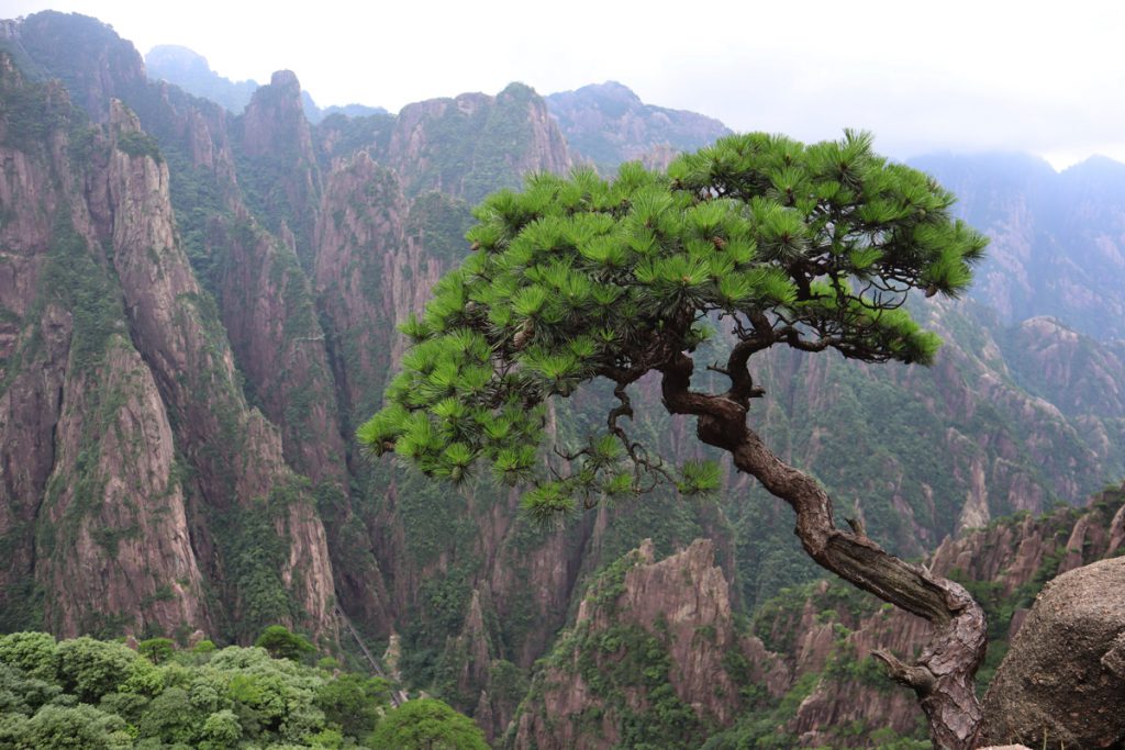 安徽省・黄山の写真 “天井図画”の奇岩の地4-1