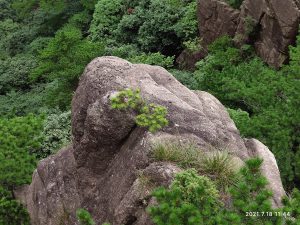 安徽省・黄山の写真 “天井図画”の奇岩の地4-8