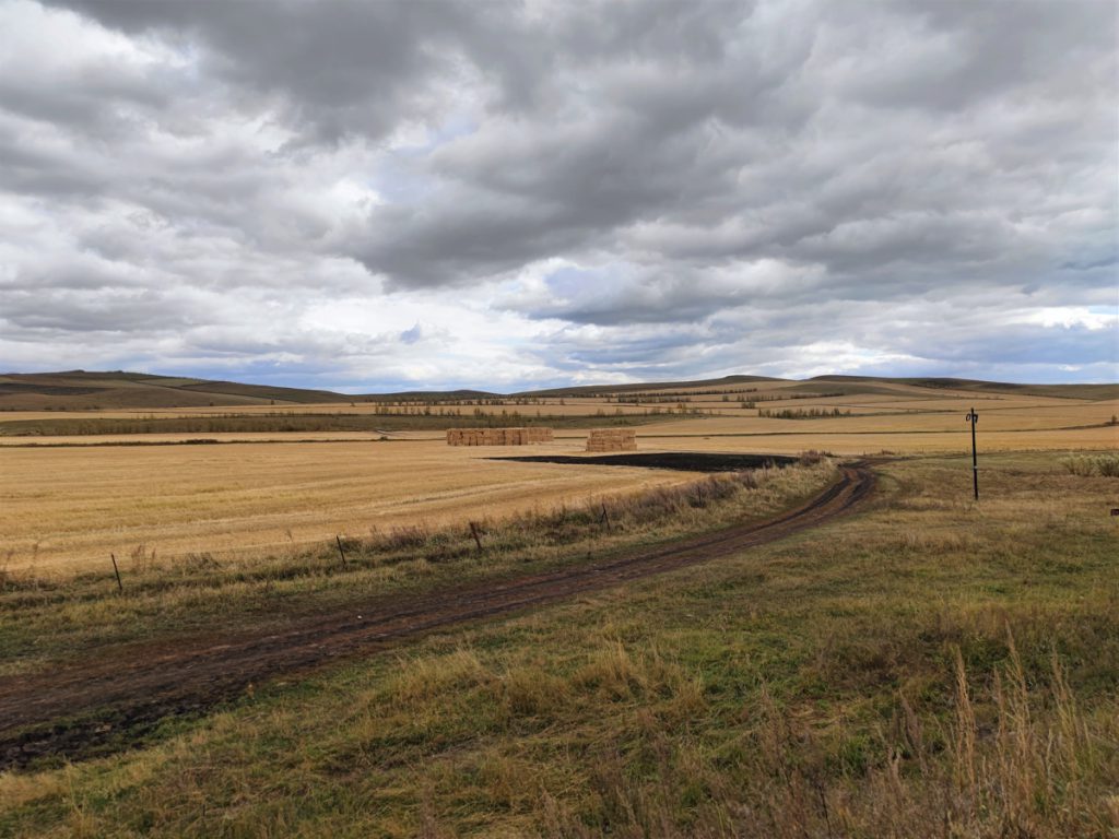 内蒙古自治区・呼倫貝尓大草原と大興安嶺の写真 大興安嶺の秋-2