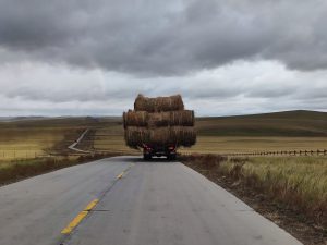 内蒙古自治区・呼倫貝尓大草原と大興安嶺の写真 大興安嶺の秋-8
