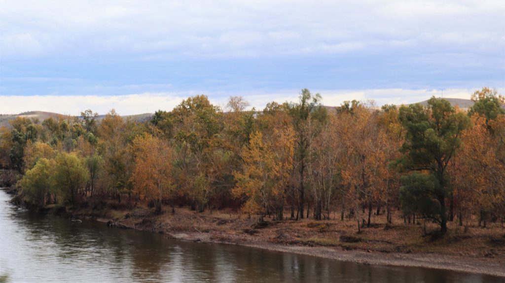 内蒙古自治区・呼倫貝尓大草原と大興安嶺の写真　大興安嶺の秋2-3