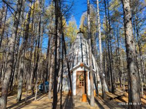内蒙古自治区・呼倫貝尓大草原と大興安嶺の写真　大興安嶺の秋2-7