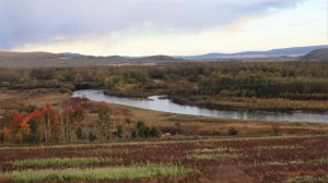 内蒙古自治区・呼倫貝尓大草原と大興安嶺の写真　大興安嶺の秋2-8