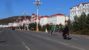 内蒙古自治区・呼倫貝尓大草原と大興安嶺の写真　大興安嶺の秋3-11