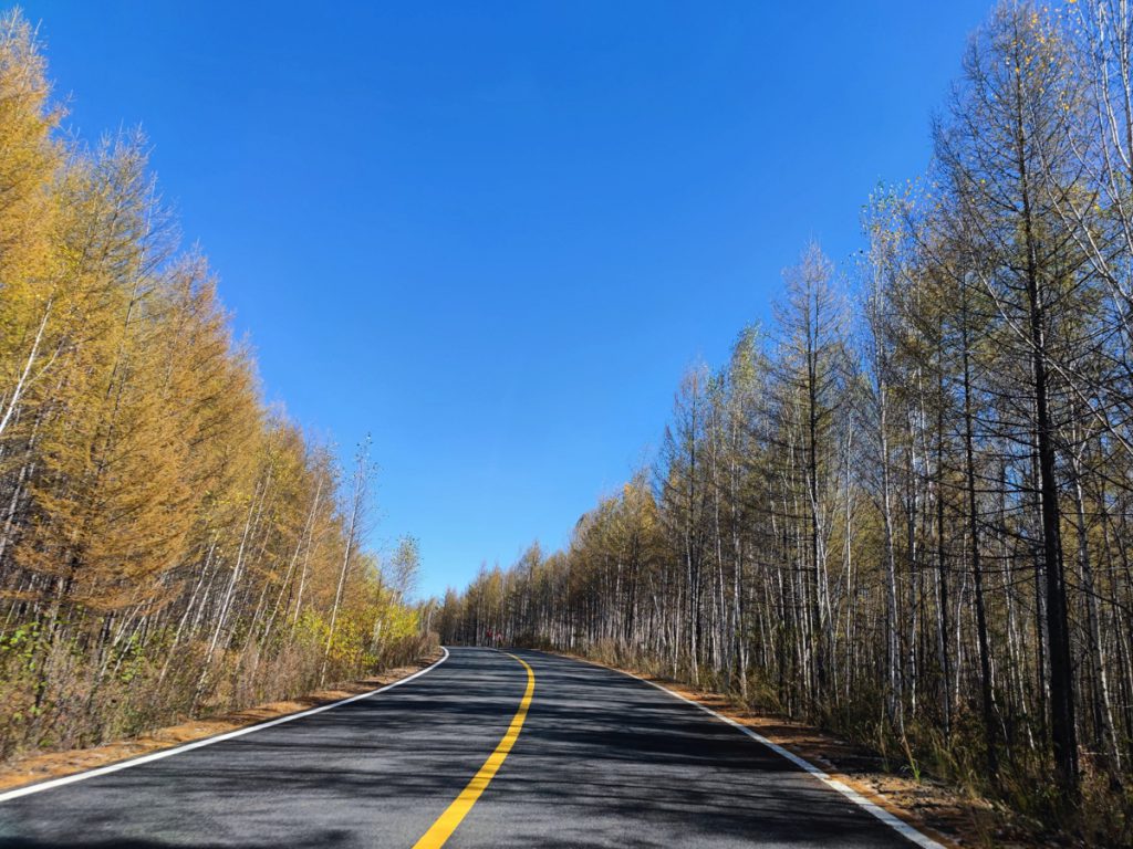 内蒙古自治区・呼倫貝尓大草原と大興安嶺の写真　大興安嶺の秋3-5