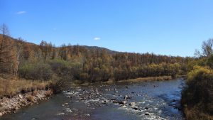 内蒙古自治区・呼倫貝尓大草原と大興安嶺の写真　大興安嶺の秋3-6