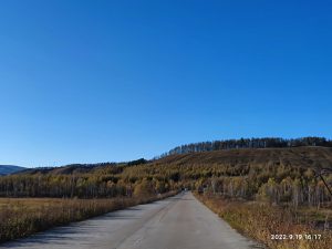 内蒙古自治区・呼倫貝尓大草原と大興安嶺の写真　大興安嶺の秋3-8