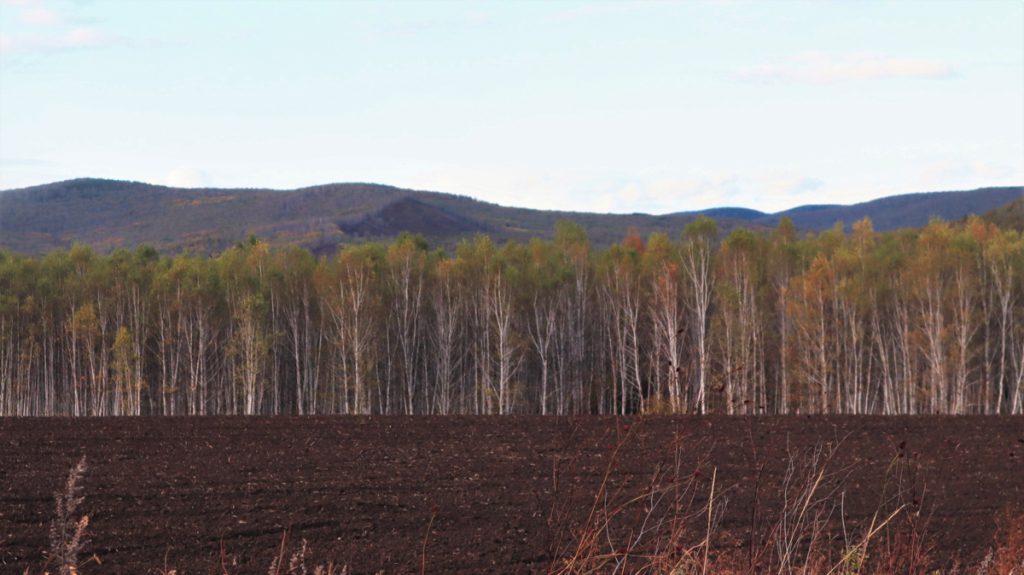 内蒙古自治区・呼倫貝尓大草原と大興安嶺の写真　大興安嶺の秋4-2