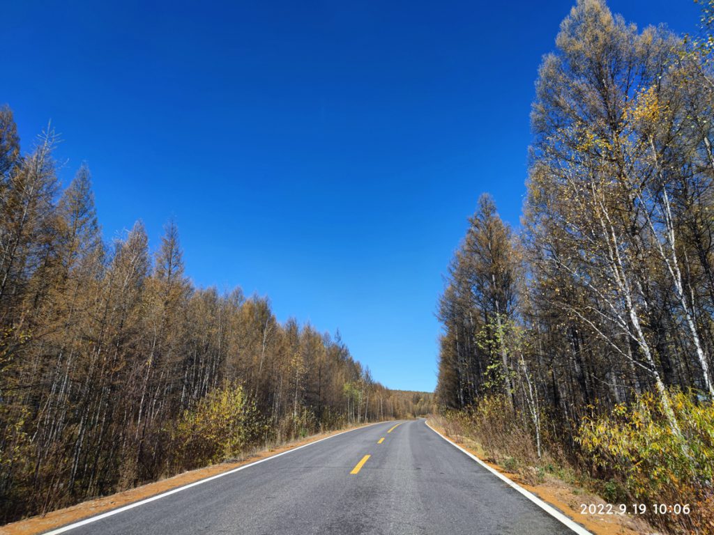 内蒙古自治区・呼倫貝尓大草原と大興安嶺の写真　大興安嶺の秋4-5