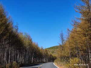 内蒙古自治区・呼倫貝尓大草原と大興安嶺の写真　大興安嶺の秋4-7