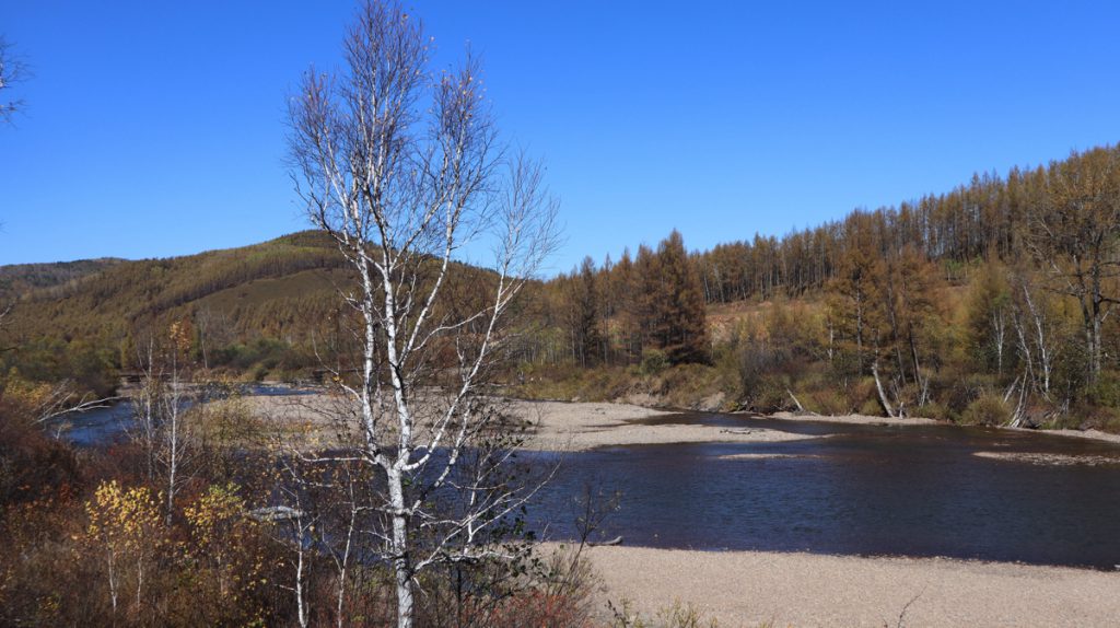 内蒙古自治区・呼倫貝尓大草原と大興安嶺の写真 大興安嶺の秋5-1