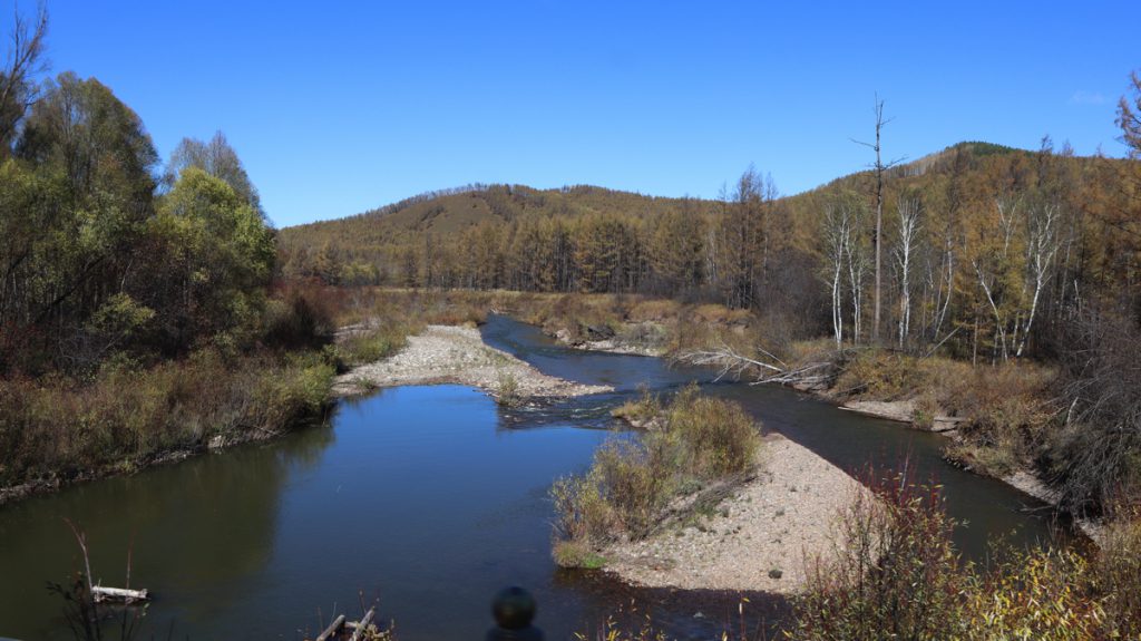 内蒙古自治区・呼倫貝尓大草原と大興安嶺の写真 大興安嶺の秋5-3