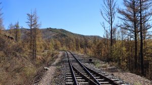 内蒙古自治区・呼倫貝尓大草原と大興安嶺の写真 大興安嶺の秋5-7