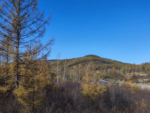 内蒙古自治区・呼倫貝尓大草原と大興安嶺の写真 大興安嶺の秋5-8