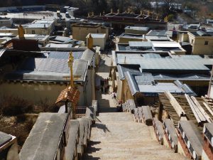 雲南省・香格里拉郊外 （松贊寺、納帕海、普達措国家公園）の写真　失われた地平線を求めて-11