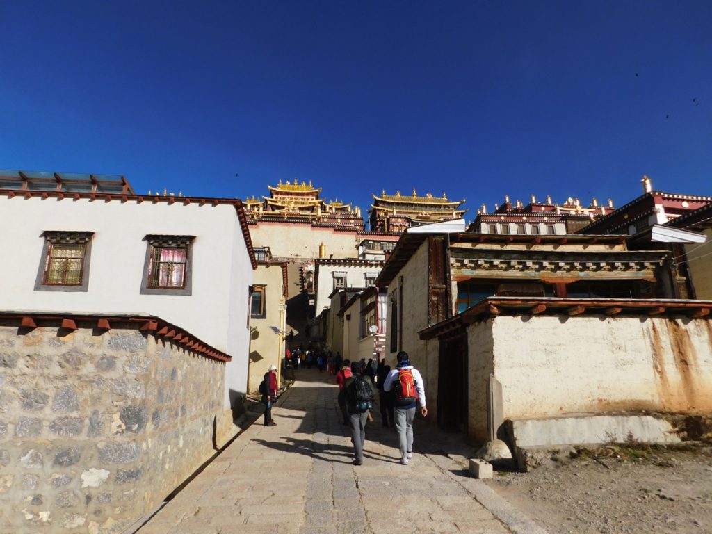 雲南省・香格里拉郊外 （松贊寺、納帕海、普達措国家公園）の写真　失われた地平線を求めて-3