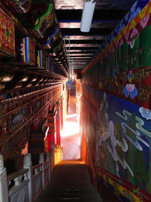 雲南省・香格里拉郊外 （松贊寺、納帕海、普達措国家公園）の写真　失われた地平線を求めて-7