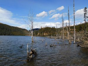 香格里拉郊外 （松贊寺、納帕海、普達措国家公園）