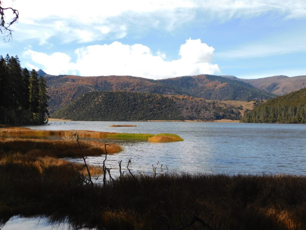 雲南省・香格里拉郊外 （松贊寺、納帕海、普達措国家公園）の写真　失われた地平線を求めて3-2