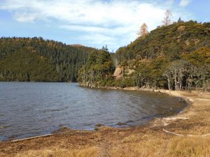 雲南省・香格里拉郊外 （松贊寺、納帕海、普達措国家公園）の写真　失われた地平線を求めて3-8