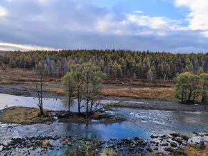 内蒙古自治区・の写真　錦秋の阿尓山2-7