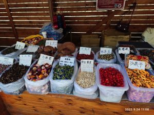 内蒙古自治区・の写真 錦秋の阿尓山3-10