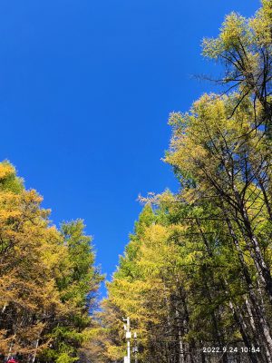内蒙古自治区・の写真 錦秋の阿尓山3-6