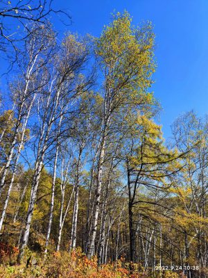 内蒙古自治区・の写真 錦秋の阿尓山3-7