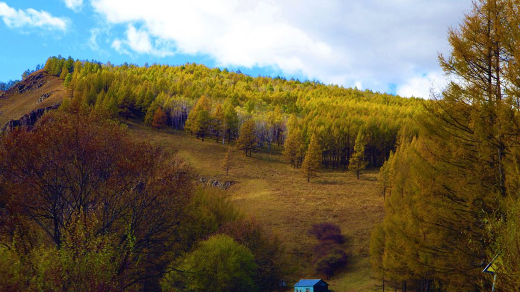 内蒙古自治区・の写真　錦秋の阿尓山5-1