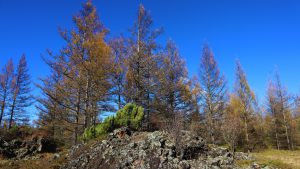 内蒙古自治区・の写真　錦秋の阿尓山5-10